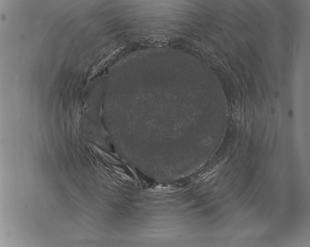 X0000070240818200606301558