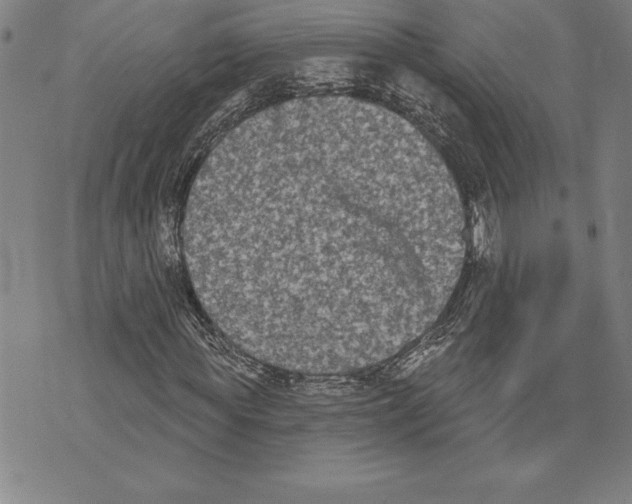 X0000070240819200606301558
