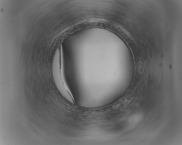 X0000070240821200606301558