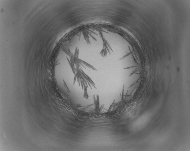 X0000070240823200606301558