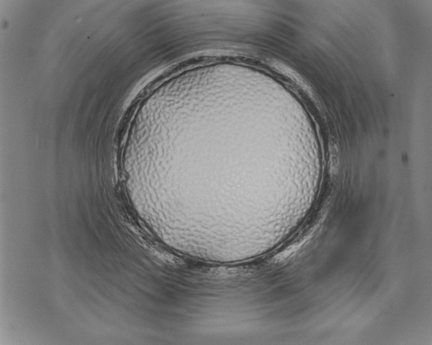 X0000070240829200606301559