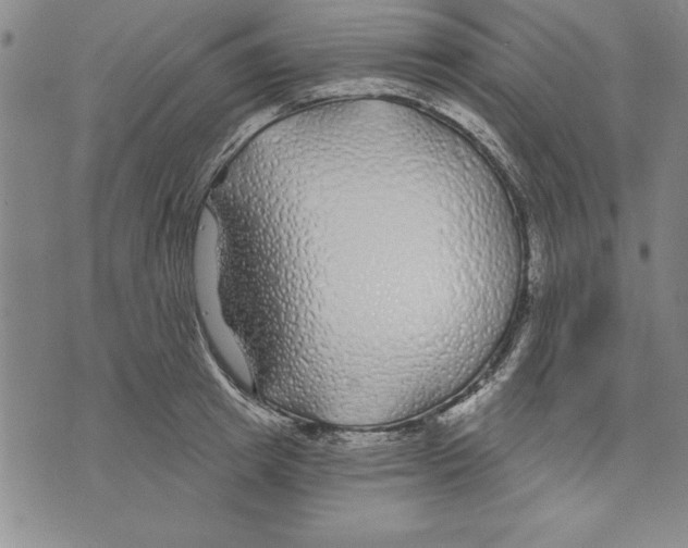 X0000070240849200606301559