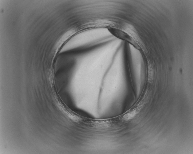 X0000070240850200606301559