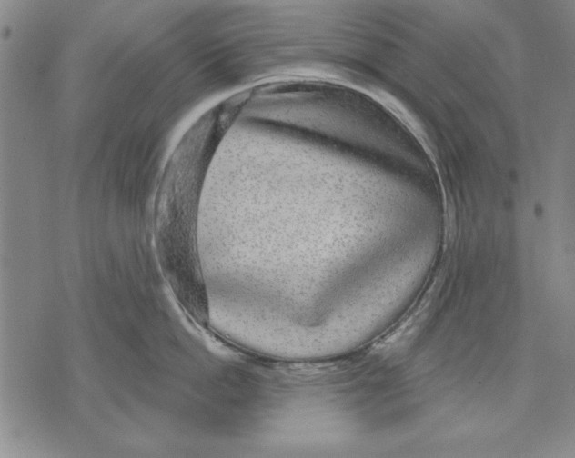 X0000070240862200606301559