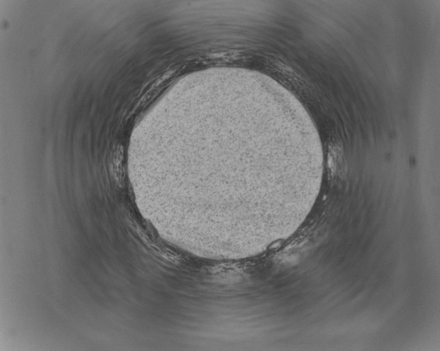 X0000070240867200606301558