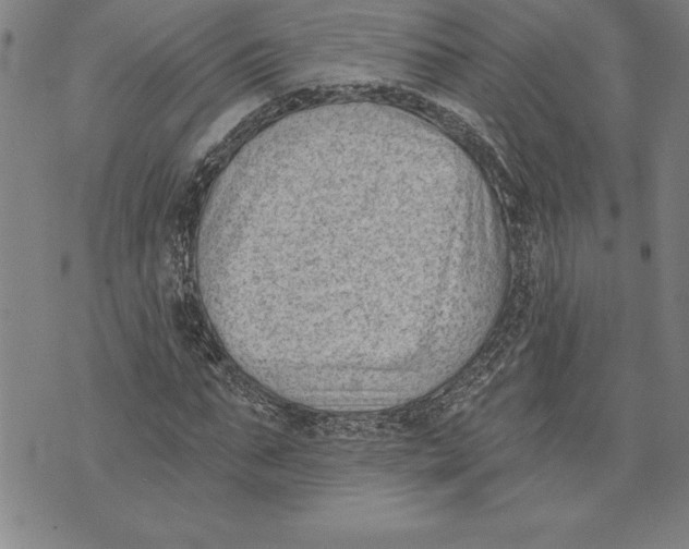 X0000070240871200606301558