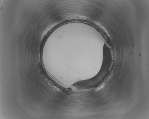 X0000070240877200606301558