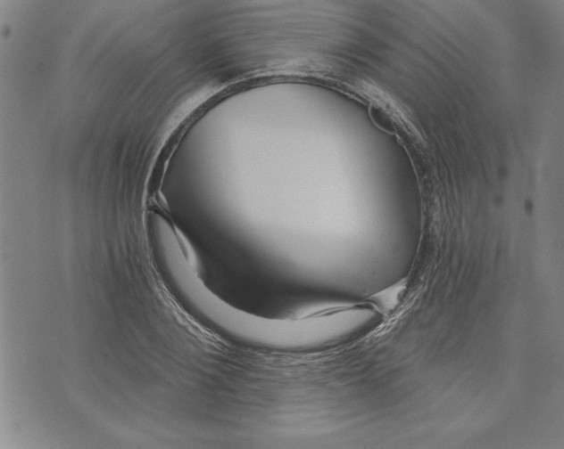 X0000070240884200606301558