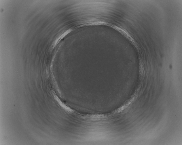 X0000070240889200606301558