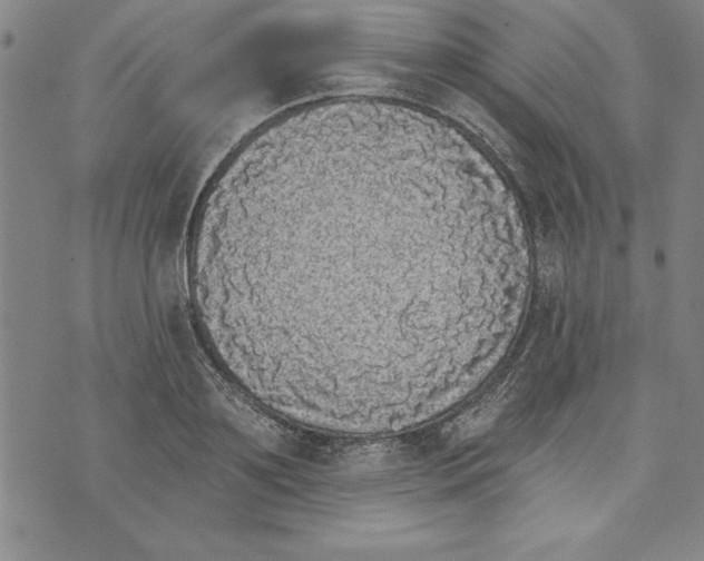 X0000070240891200606301558