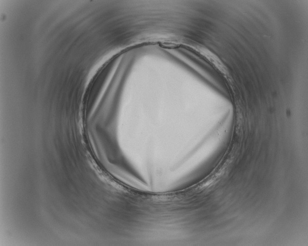X0000070240904200606301558