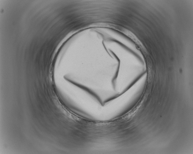 X0000070240908200606301558