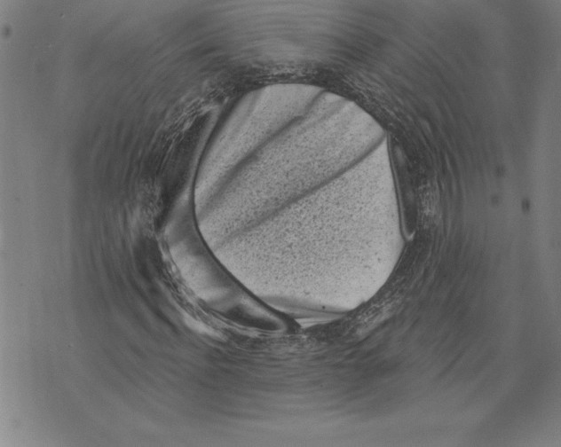 X0000070240916200606301557