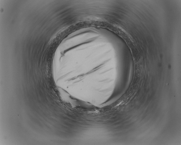 X0000070240919200606301557
