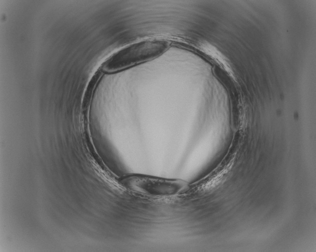X0000070240924200606301557
