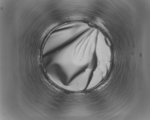 X0000070240930200606301557