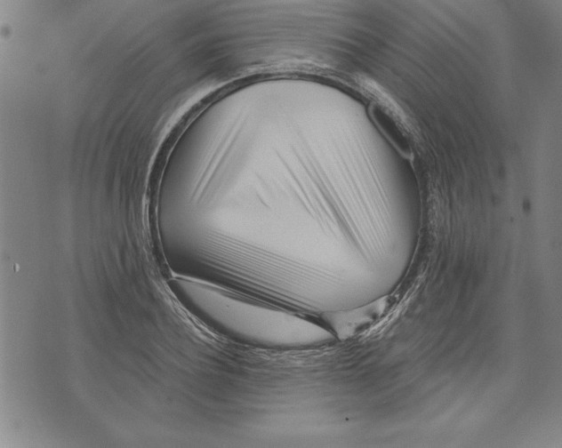 X0000070240932200606301557