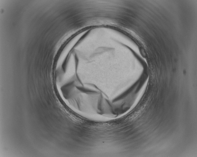 X0000070240943200606301557