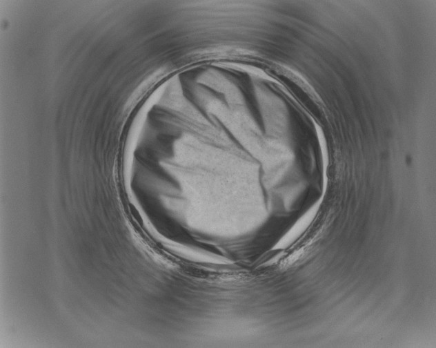 X0000070240946200606301557