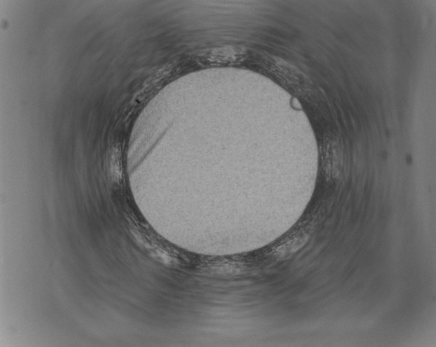 X0000070240962200606301557