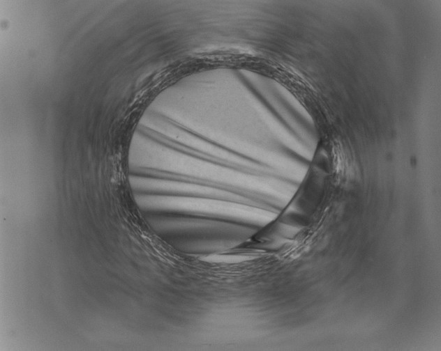 X0000070240965200606301557