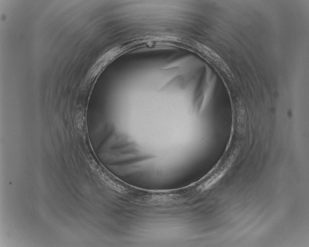 X0000070240985200606301556