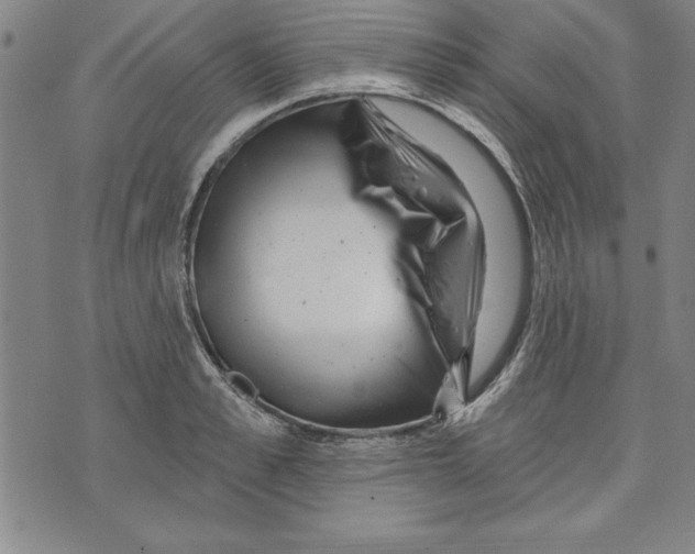 X0000070240989200606301556