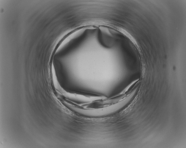 X0000070240996200606301556