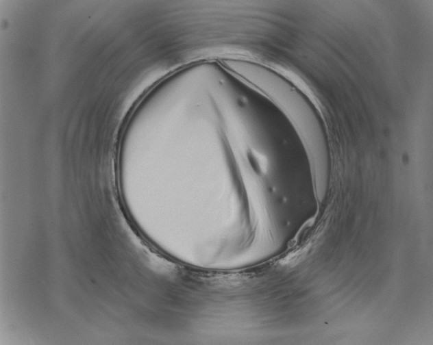 X0000070240999200606301556
