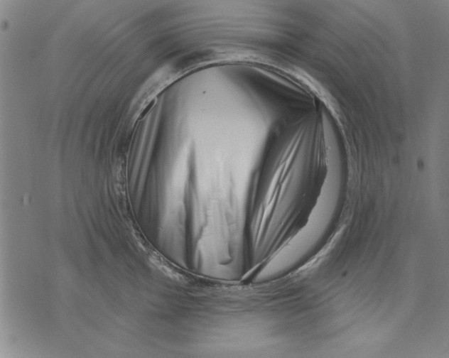 X0000070241001200606301556