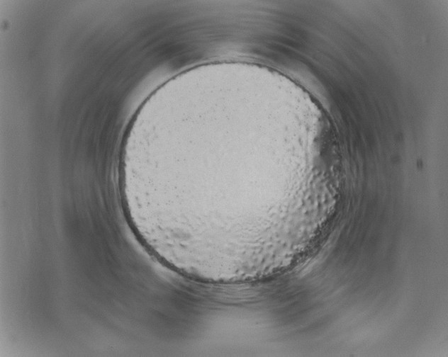 X0000070241007200606301556