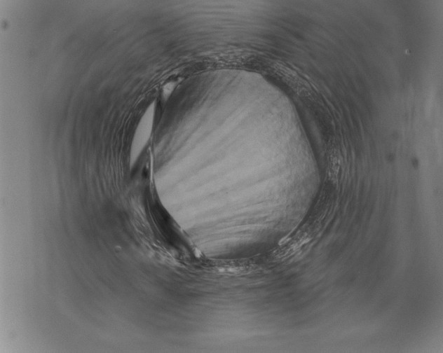 X0000070241010200606301555