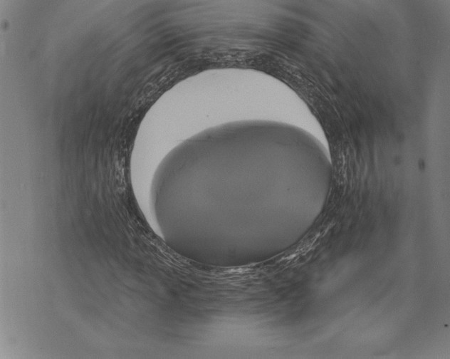 X0000070241013200606301555