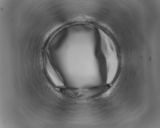 X0000070241018200606301555