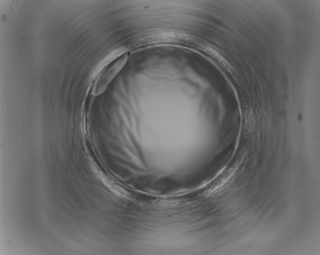X0000070241034200606301556