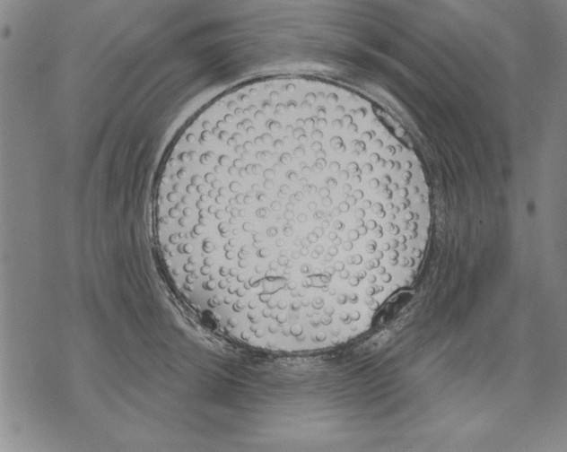 X0000070241044200606301556
