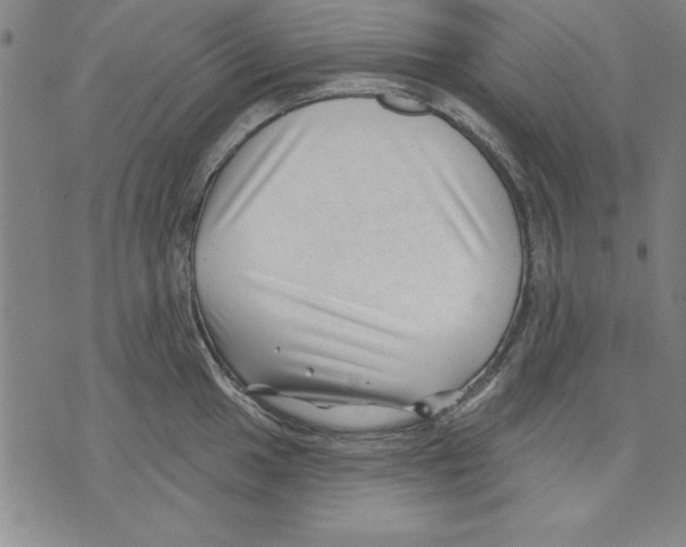 X0000070241049200606301556