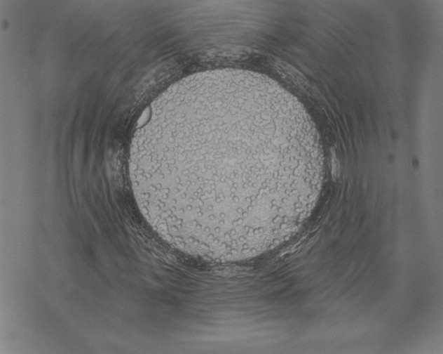 X0000070241059200606301555