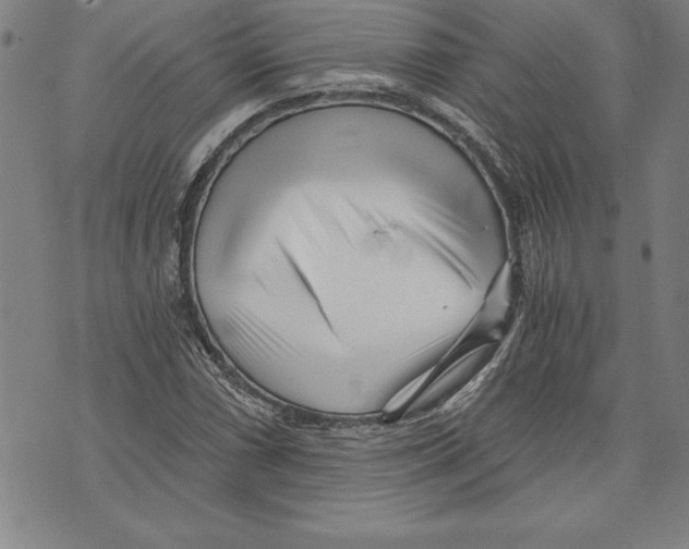X0000070241066200606301555