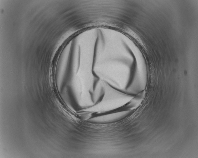 X0000070241076200606301555