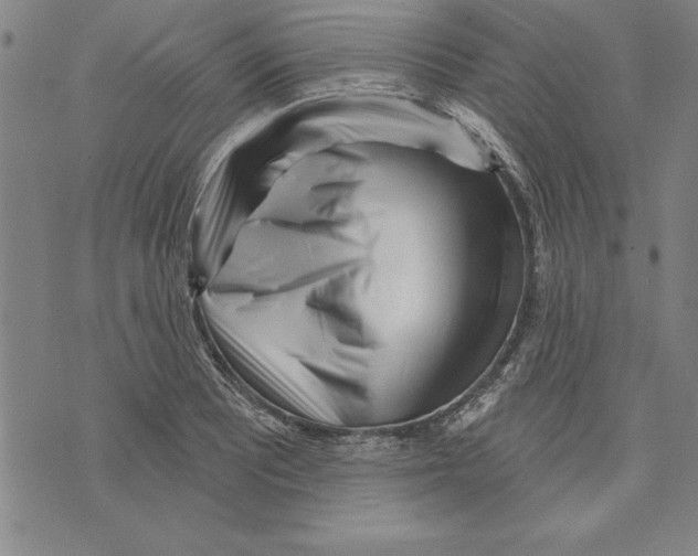 X0000070241081200606301555