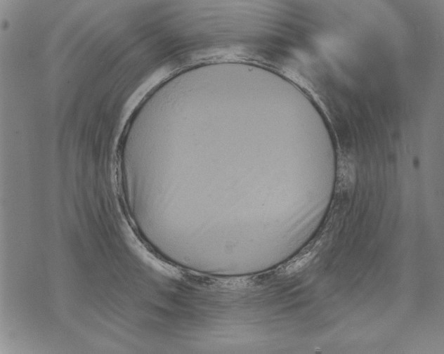 X0000070241090200606301555