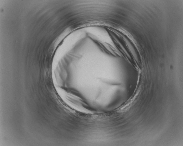 X0000070241097200606301555