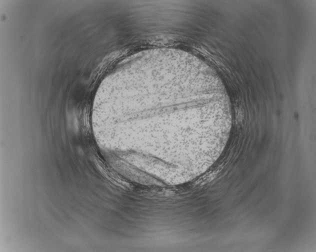 X0000070241106200606301554