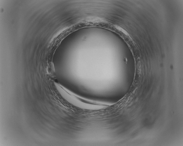 X0000070241112200606301554