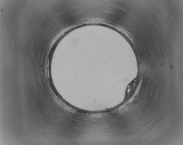 X0000070241126200606301554