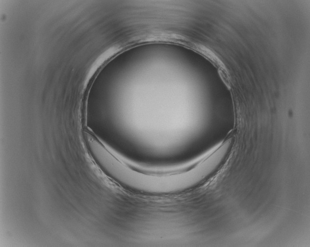 X0000070241138200606301554