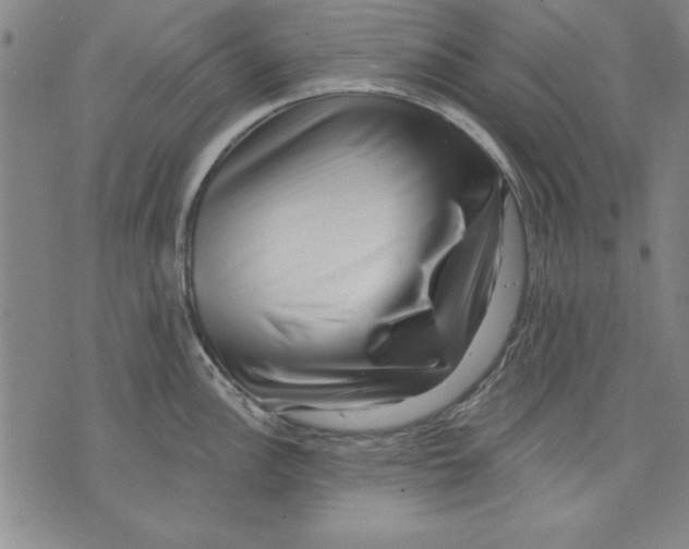 X0000070241148200606301554