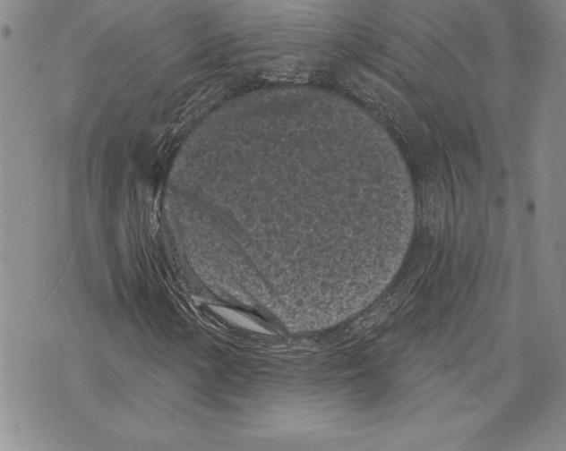 X0000070241154200606301554