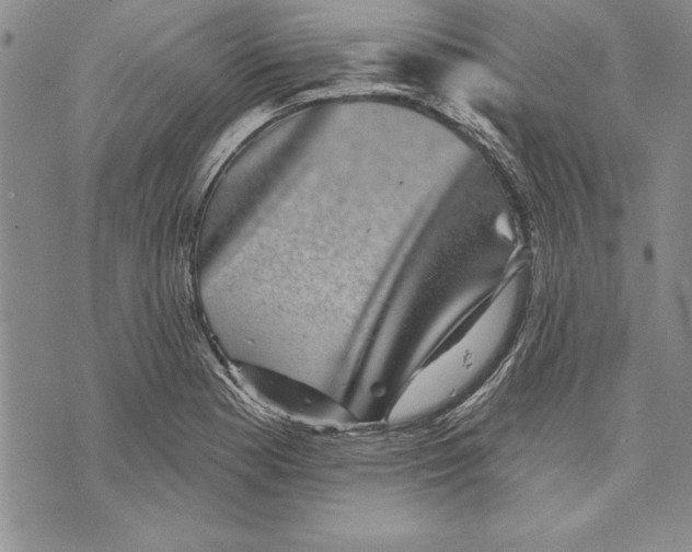 X0000070241177200606301553